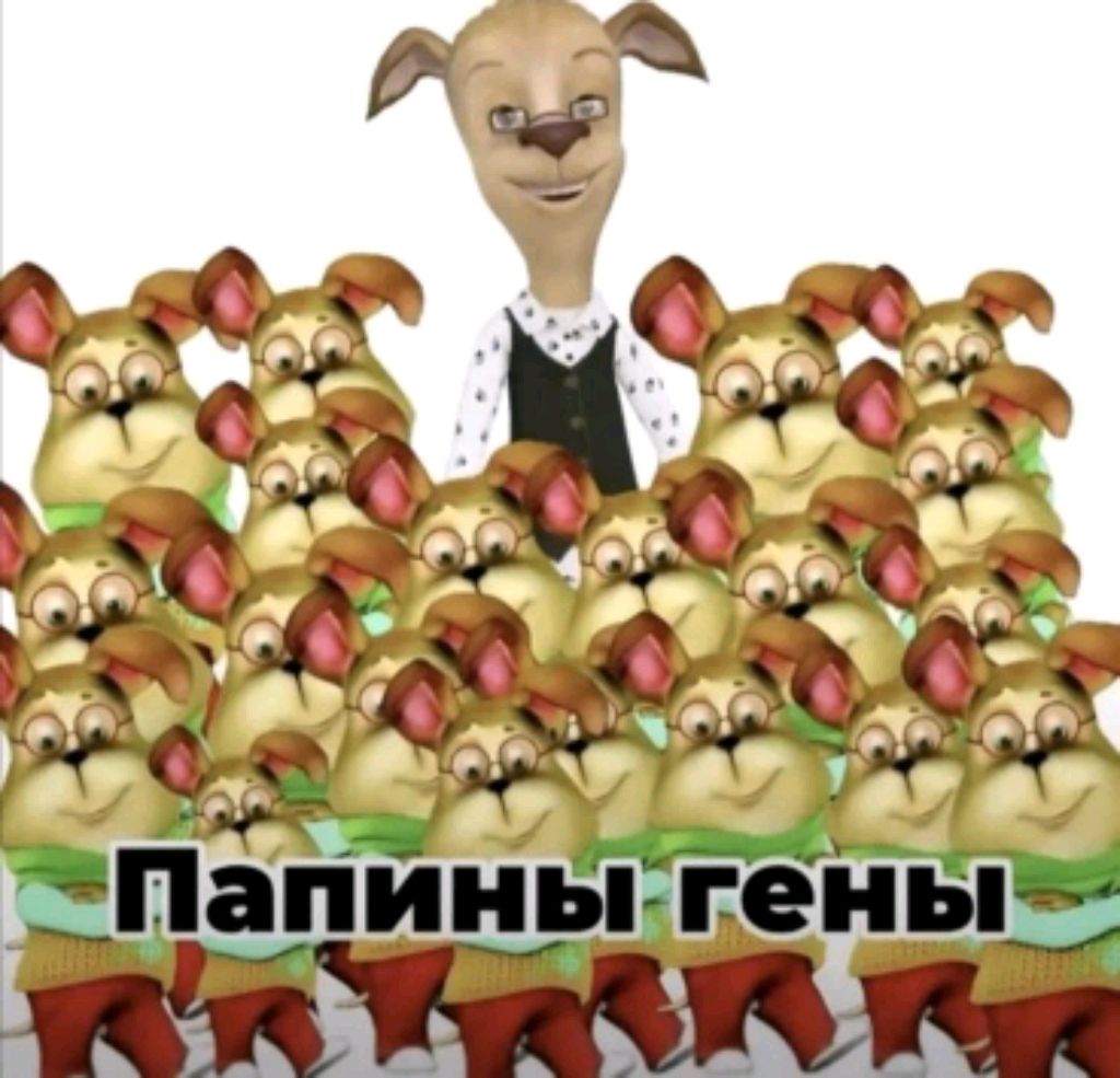 ПОЮ И ВОПРОС ОТВЕТ ИЗ ЧАТА