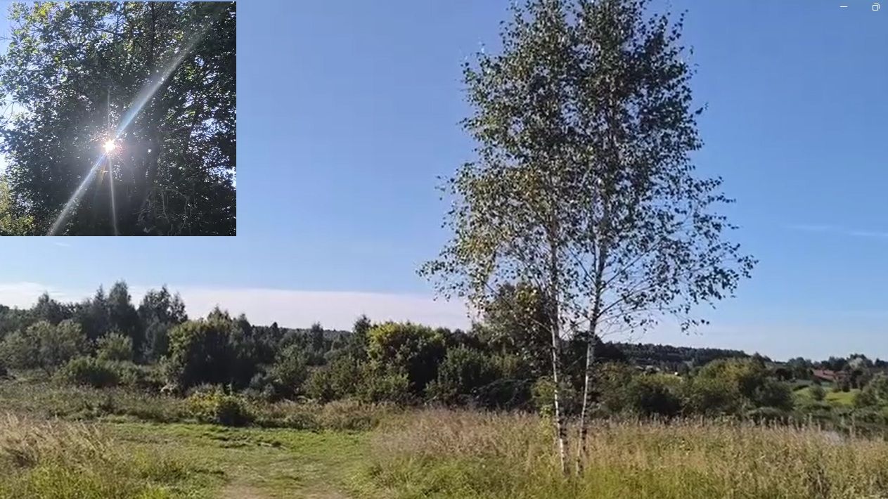 Поле в лучах солнца: ловим последние теплые дни августа. Момент который хочется запомнить.