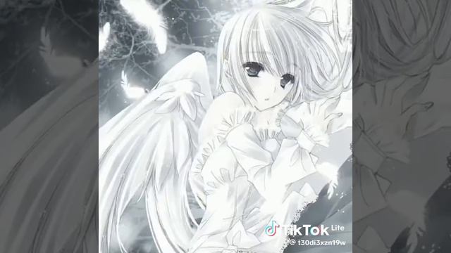 218d7a3520cbd1d408161958e8b6f2b8_1787384255338.mp4