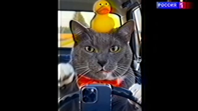 kotiynet_2010 я понял что это ненастоящий инцидент фейк да не был 2010 а 2021 году
