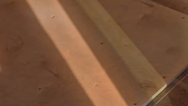 1000067702.mp4 Собака слушает о укладке пола из лфанеры его пропитка в ванной в доме А-фрейм