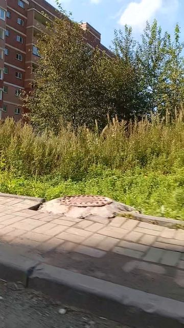 катаемся по дому