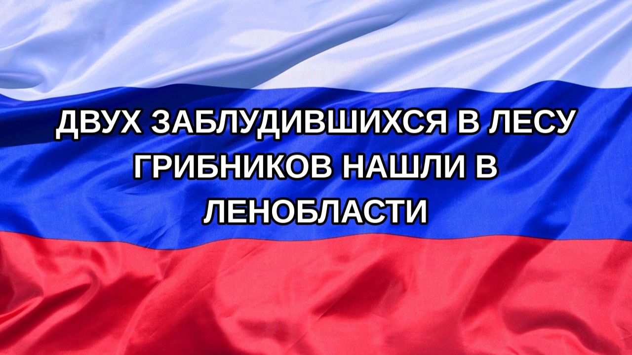 Н. РФ Двух заблудившихся в лесу грибников нашли в Ленобласти