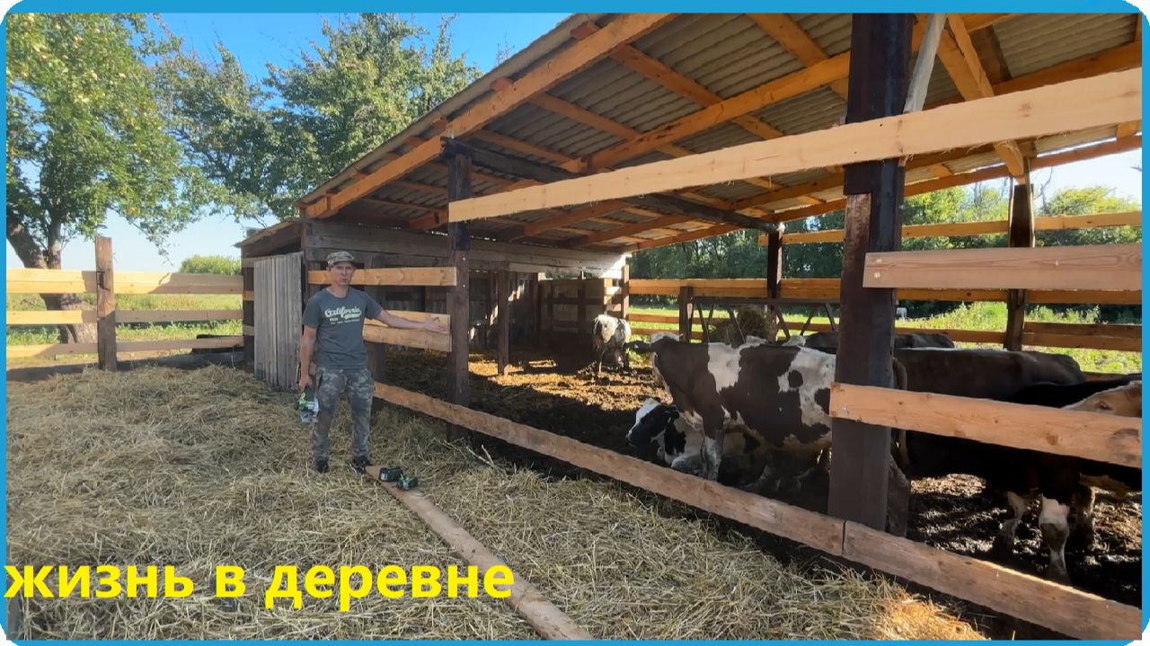 РАСШИРИЛИ ЗАГОН ДЛЯ БЫКОВ И ПРОДОЛЖИЛИ ЗАНИМАТЬСЯ БЛАГОУСТРОЙСТВОМ УЧАСТКА