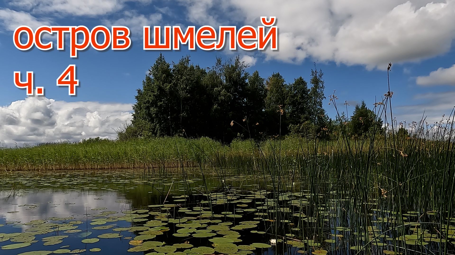 Остров шмелей ч. 4