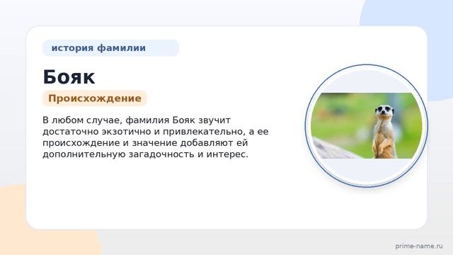 Фамилия Бояк: происхождение значение и склонение