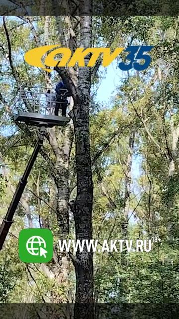 Story-ВЕСТИ 21.08_0002