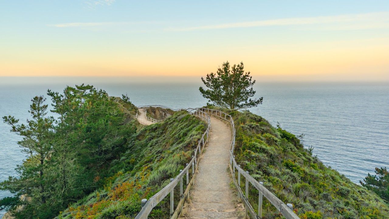 USA California - Early Morning Walk on Coast  Muir Beach to Slide Ranch