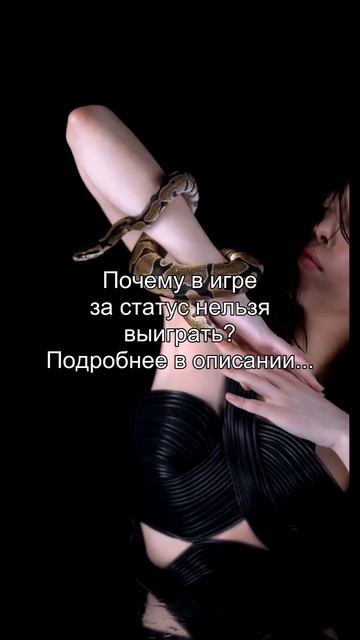 Почему в игре
за статус нельзя
выиграть?
Подробнее в описании...