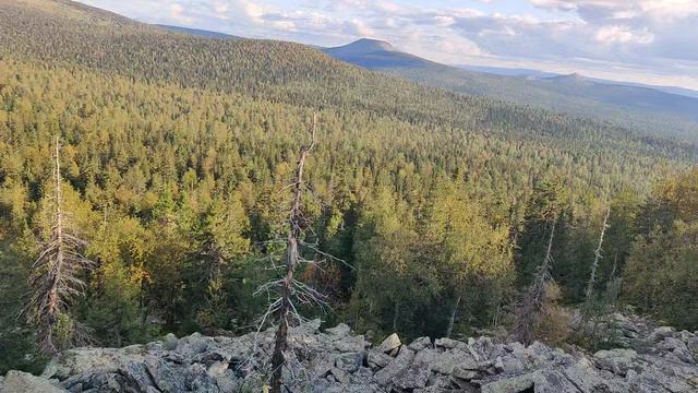 Красивая природа Пермского края гора Шудья Пендыш 1050 метров Тайга Красновишерская Манарага Лето 20