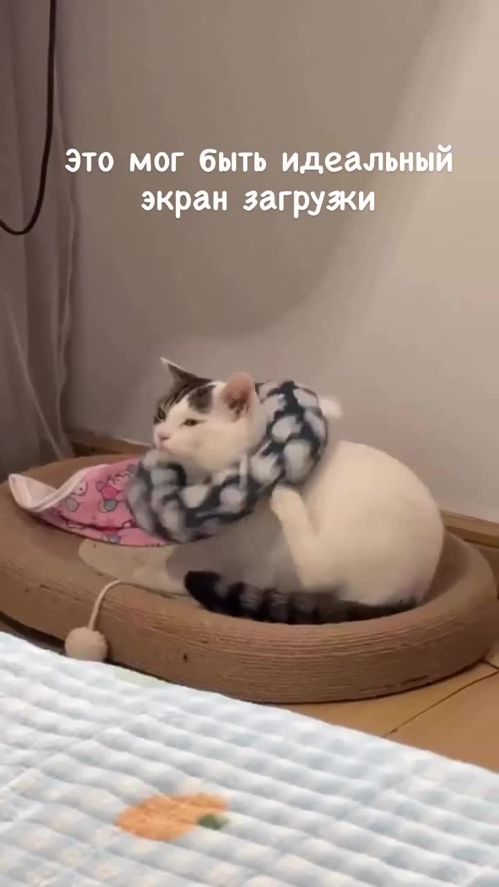мем смех Мемосяндия