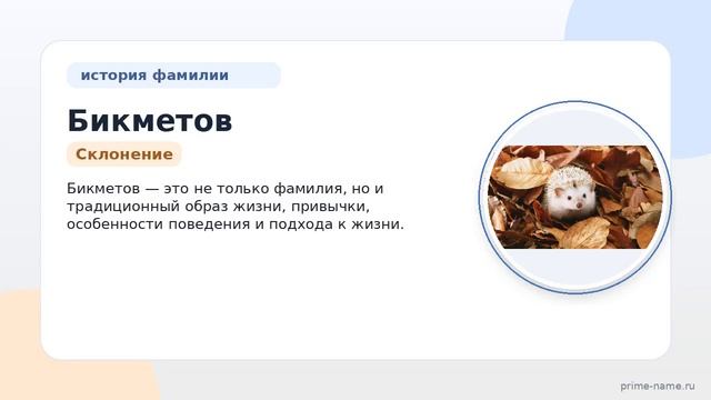 Фамилия Бикметов: происхождение значение и склонение
