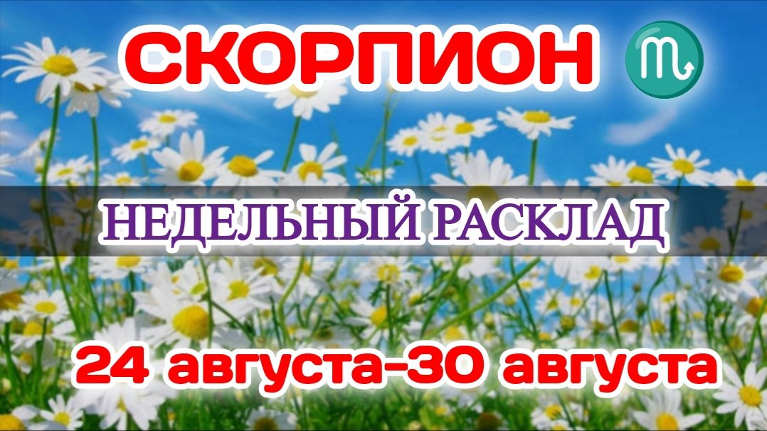 СКОРПИОН Недельный расклад 24-30 АВГУСТА Таро ПрогнозСферы жизни
