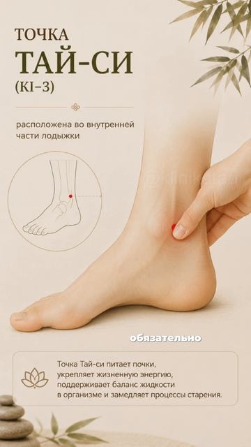 Точки для улучшения почек