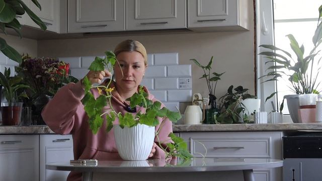 Меня захватили растения 