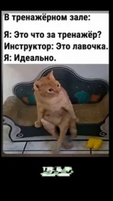 Тренажор . Юмор