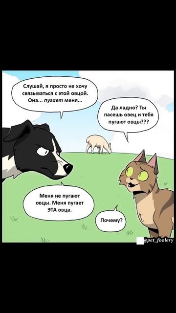 Супер-овца
