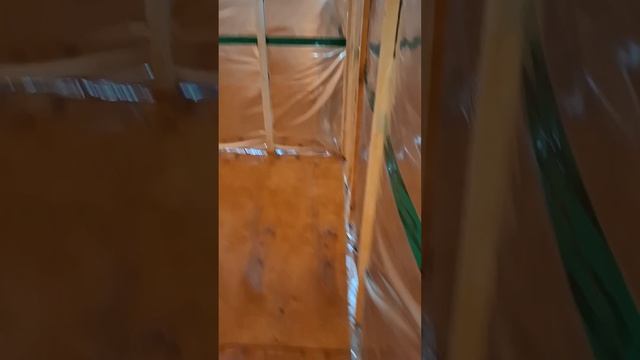 1000067673.mp4 Собака слушает о укладке пола из лфанеры его пропитка в ванной в доме А-фрейм