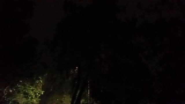 8056.mp4