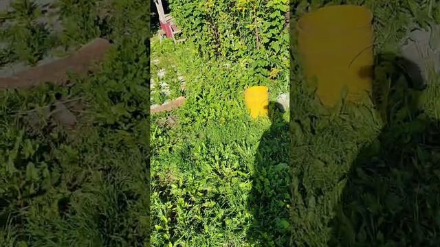 Тёплый дом со всеми удобствами на продажу