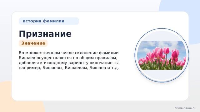 Признание происхождения фамилии Бишаев и склонение: история и значение
