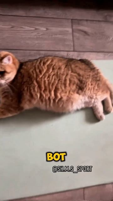 Ещё один подход  фраза которая может длиться вечно .