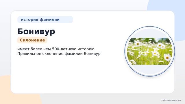 Фамилия Бонивур: происхождение значение и склонение