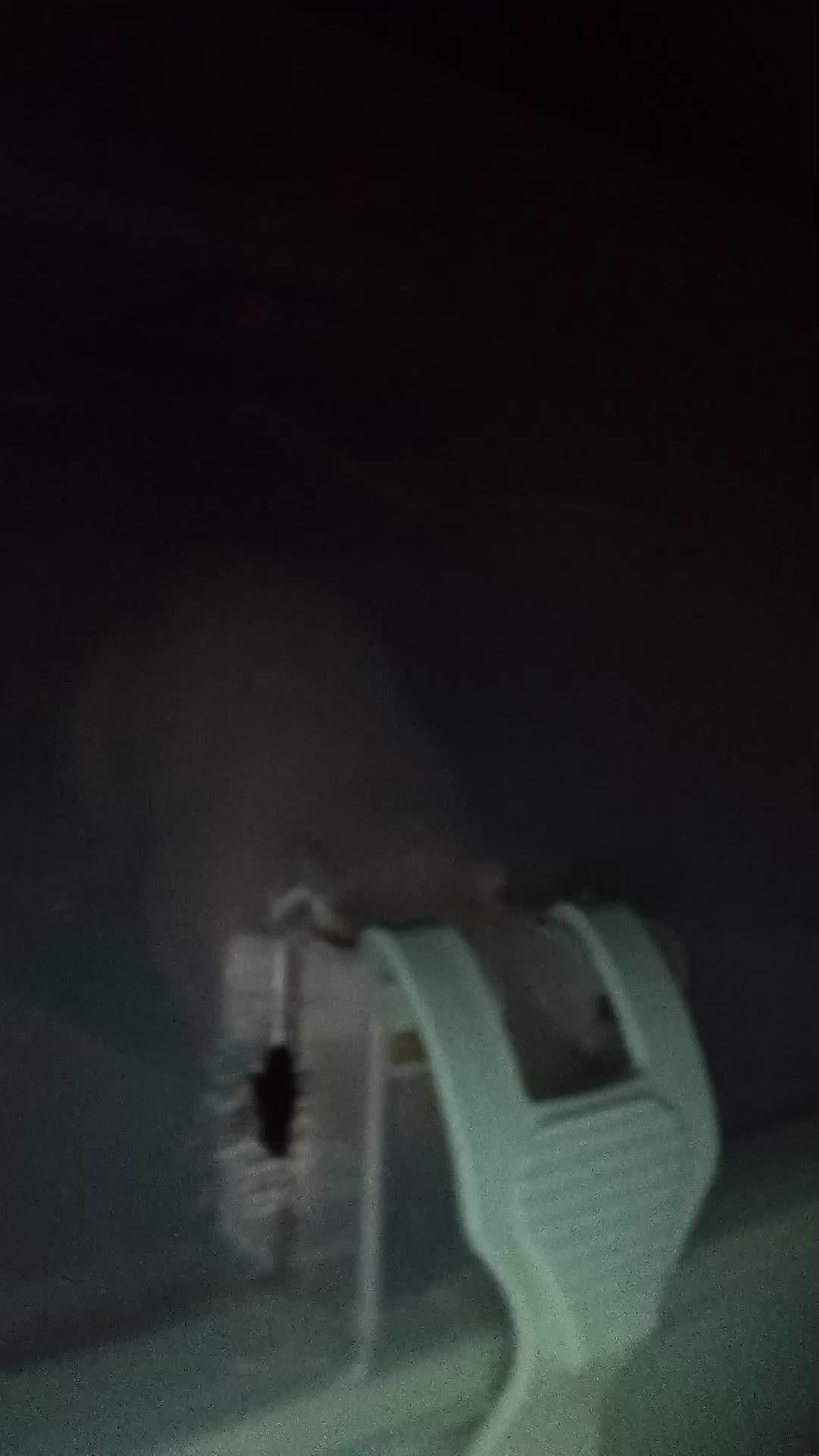 плрт