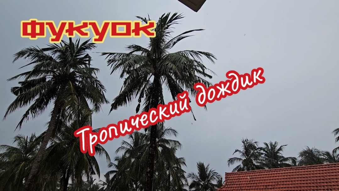 Непредсказуемость вьетнамской погоды  Фукуок отель Saigon Phu Quok Resort