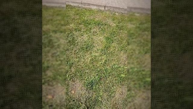 1000883467.mp4