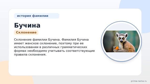 Фамилия Бучина: происхождение значение и склонение