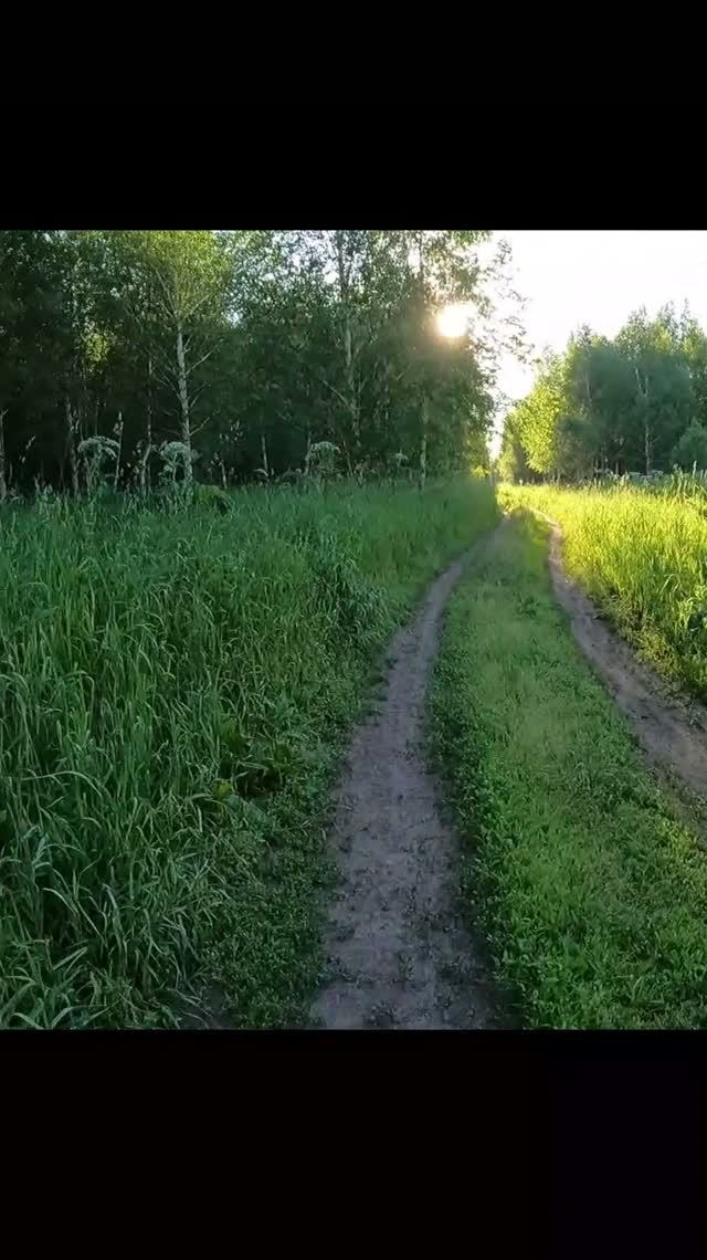 Солнце как учитель