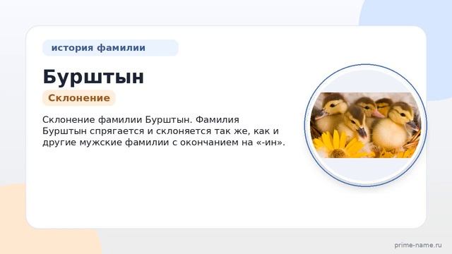 Изучаем происхождение и историю фамилии Бурштын: значение и склонение в одной статье!