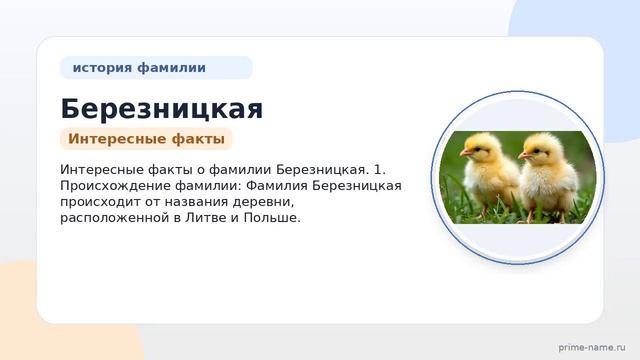 Изучаем происхождение историю и значение фамилии Березницкая: склонение и интересные факты