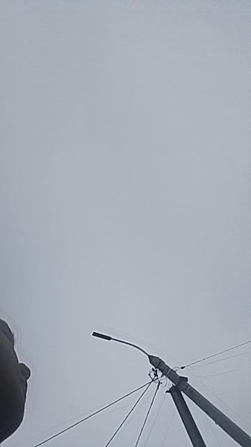 паша