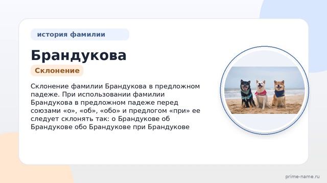 Фамилия Брандукова: происхождение значение и склонение
