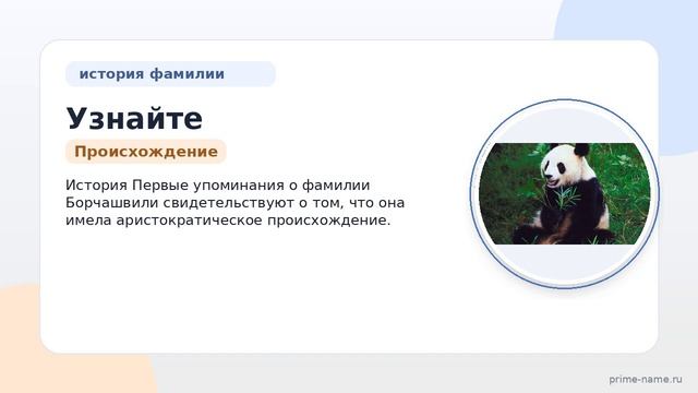 Узнайте все о фамилии Борчашвили: происхождение историю и значение а также правильное склонение