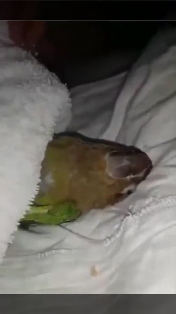 БЫВАЕТ