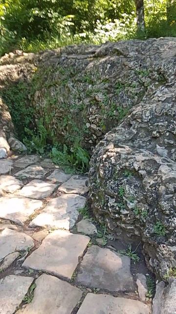 1000002887.mp4