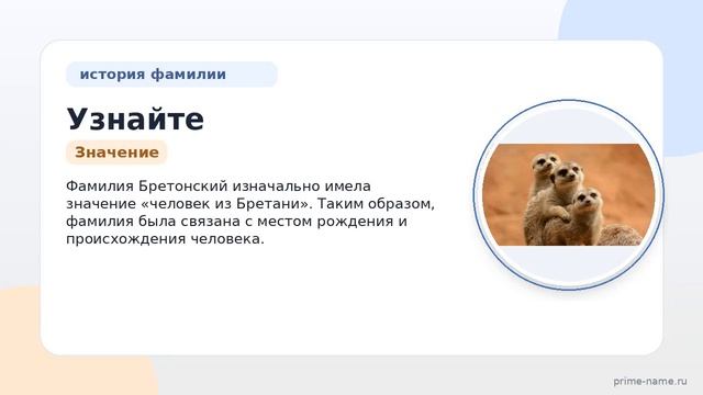 Узнайте всё о фамилии бретонский: происхождение история значение и правильное склонение  полный