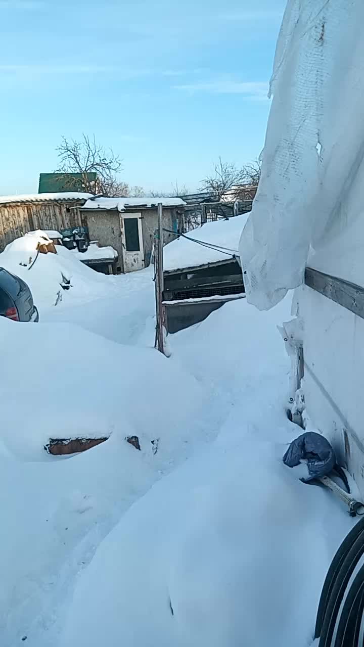 Редиска взошла на третий день. Эксперименты дяди Вити 23.02.2023