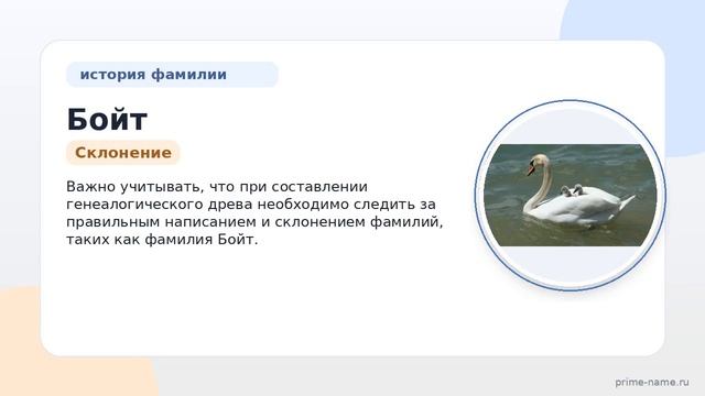 Фамилия Бойт: происхождение значение и склонение