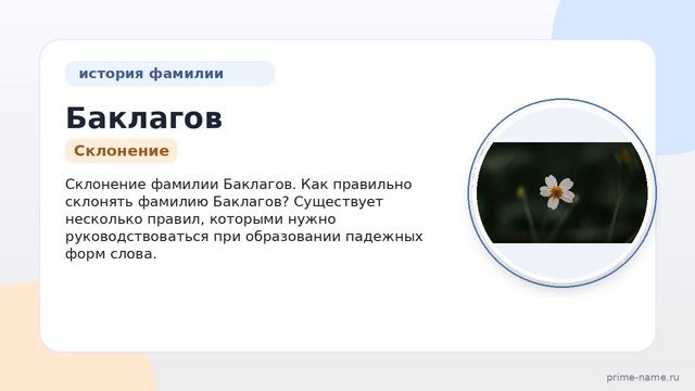 Фамилия Баклагов: происхождение значение и склонение