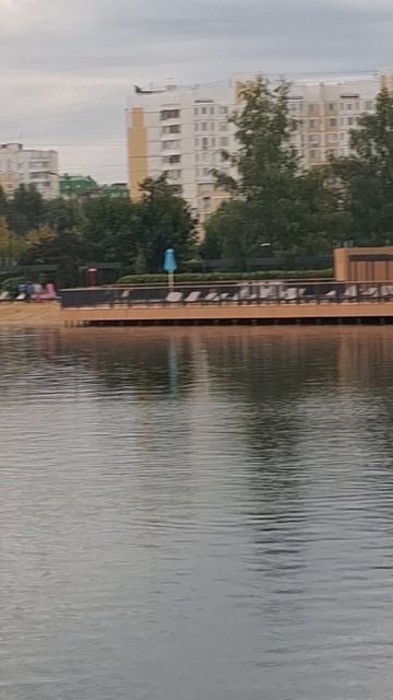 Черневский пруд южноебутово