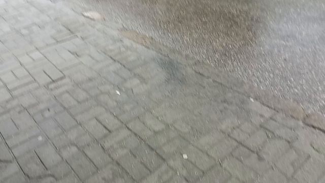 Дождь в Калининграде. 22.08.2026