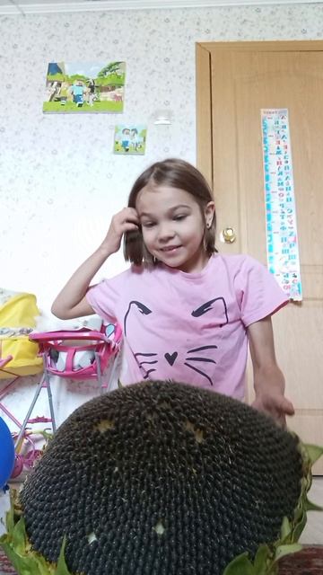 Огромные семечки