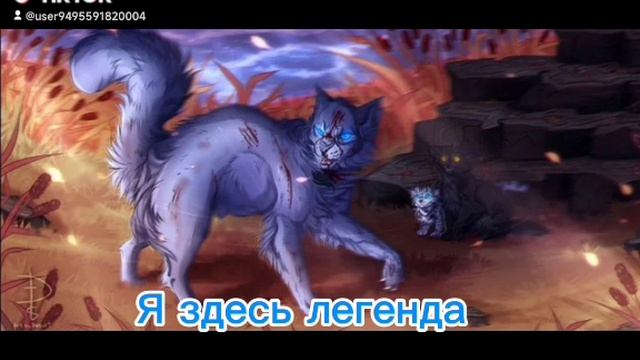 ce83f8f9-e58d-454e-97da-86fcc4f09bac-watermark 1