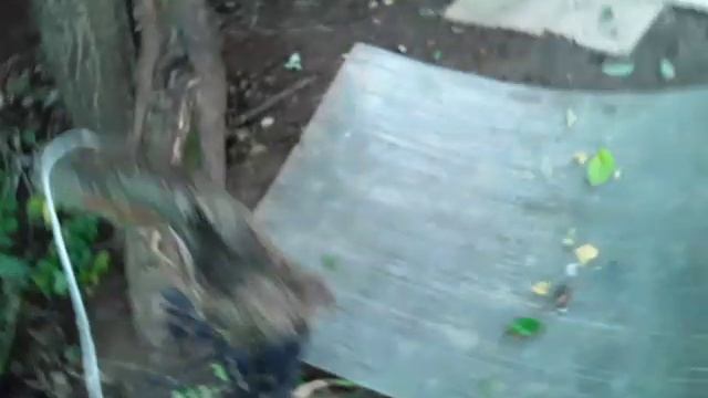 2 часть домика на дереве