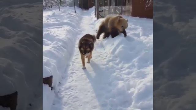 БЫВАЕТ