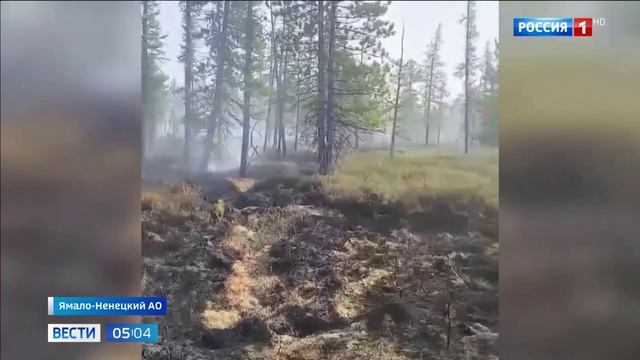 Россия 1_Сухие грозы вызывают новые очаги пожаров на Ямале